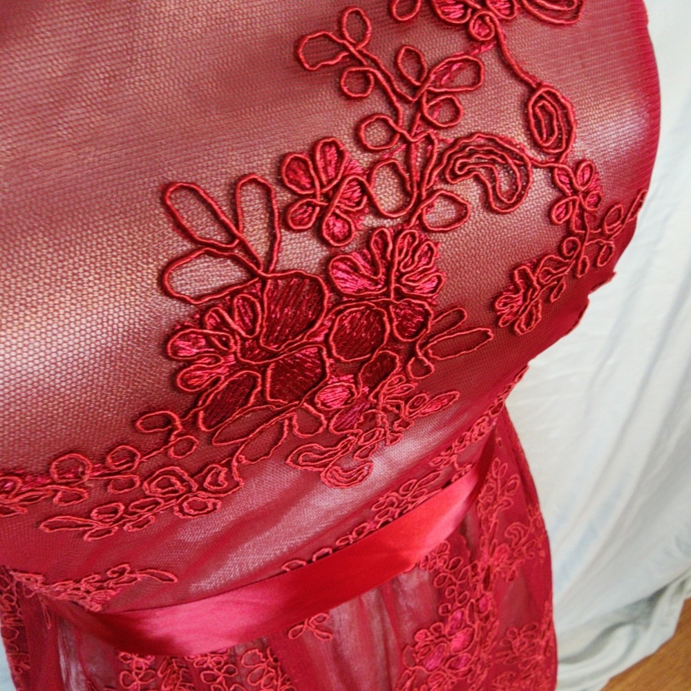 TEEZE ME Size 5 Red Floral Lace Overlay Fit Flare Rockabilly Formal Prom Dress - Picture 6 of 9